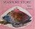 Seashore Story