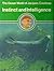 Instinct and Intelligence (The Ocean World of Jacques Cousteau)