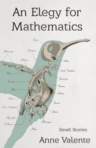An Elegy for Mathematics (Paperback)