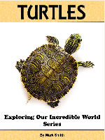 Incredible Turtles: Fun Animal Books For Kids With Facts & Incredible Photos (Exploring Our Incredible World Series #1 )