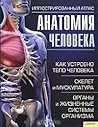 Анатомия человека. Иллюстрированный атлас