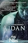 Aidan by Abby Niles