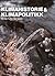 Klimahistorie & klimapolitikk