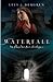 Waterfall by Lisa Tawn Bergren