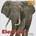 Elephant (Big Beasts