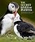 The Secret Lives of Puffins
