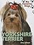 Yorkshire Terrier (My Favorite Dogs)