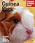 Guinea Pigs by Immanuel Birmelin Guinea Pigs by Immanuel Birmelin
