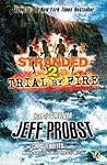 Trial by Fire