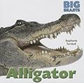 Alligator (Big Beasts