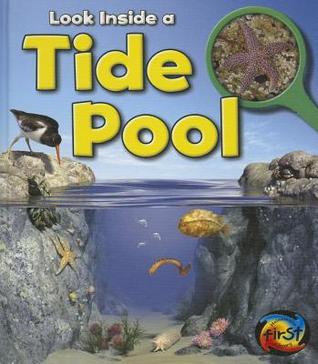 Look Inside a Tide Pool (Library Binding)