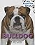 Bulldog (My Favorite Dogs)