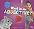 What Is an Adjective? (Pebb...
