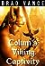 Colum's Viking Captivity (C...