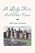 A Lady Fair And Other Poems by John Lars Zwerenz A Lady Fair And Other Poems by John Lars Zwerenz