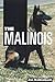 The Malinois