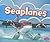 Seaplanes (Aircraft)
