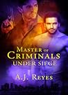 Master of Criminals - Under Siege