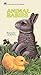 Animal Babies (Golden Books)