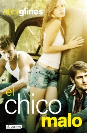 El chico malo (The Vincent Boys, #1)