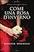 Come una rosa d'inverno by Jennifer Donnelly