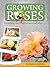 Growing Roses: Everything You Need to Know and More