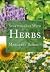 Starting out with herbs