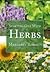 Starting out with herbs