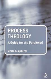 Process Theology: A Guide for the Perplexed (Guides for the Perplexed)