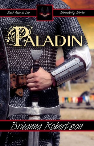 Paladin (Serendipity Series, #4)