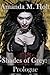 Shades of Grey by Amanda M. Holt