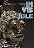 Fragments of the Invisible:...