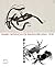 Isamu Noguchi/Qi Baishi/Beijing 1930