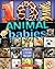 101 Animal Babies