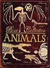 Bone Collection: Animals