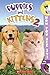 Now You See It! Puppies & Kittens 2 by Dara Foster