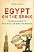 Egypt on the Brink: From Nasser to the Muslim Brotherhood, Revised and Updated