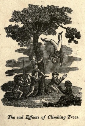 The Accidents of Youth: Consisting of Short Histories Calculated to Improve the Moral Conduct of Children and Warm them of the Many Dangers to which they are Exposed