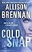 Cold Snap (Lucy Kincaid, #7)