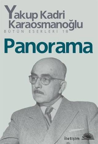 Panorama (Paperback)