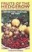 Fruits of the Hedgerow and Unusual Garden Fruits: Gather Them, Cook Them, Eat Them