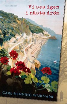 Vi ses igen i nästa dröm (Hardcover)
