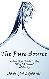 The Pure Source by David    Edwards