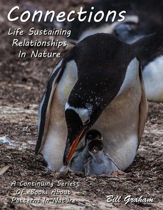 Connections - Life Sustaining Relationships In Nature