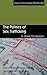 The Politics of Sex Trafficking: A Moral Geography (Critical Criminological Perspectives)