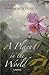 A Place in the World by Cinda Crabbe MacKinnon
