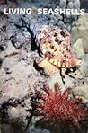Living Seashells