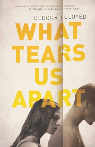What Tears Us Apart (Paperback)