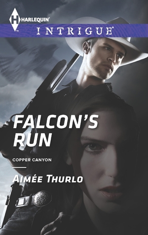 Falcon's Run (Paperback)