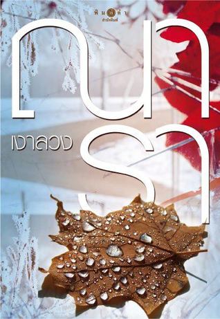 เงาลวง Shadow on Ice (Paperback)